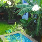raid-des-plage-louisa-1