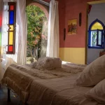 shir-riad-2